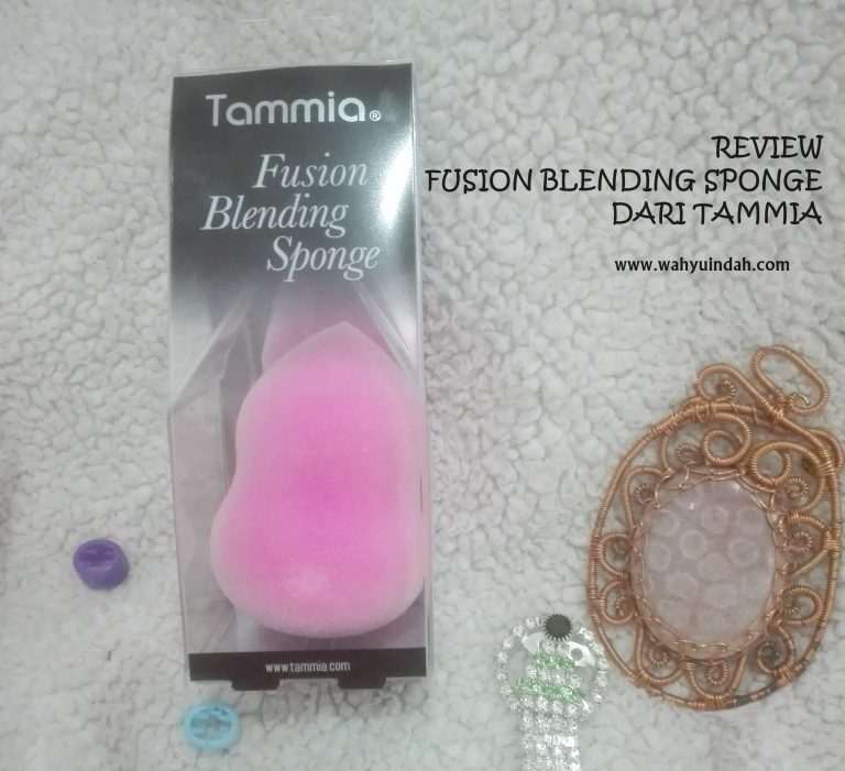REVIEW FUSION BLENDING SPONGE DARI TAMMIA