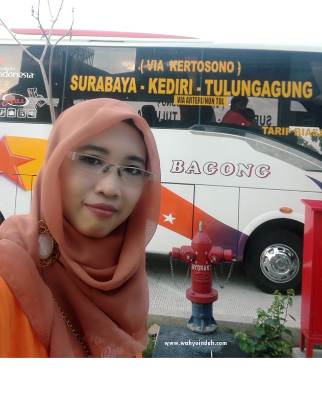 peluncuran jalur baru bus bagong