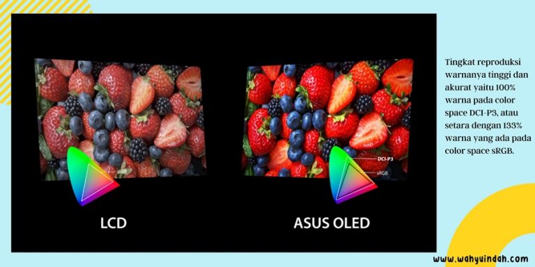ASUS OLED tingkat akurasi warnanya tinggi dan kaya warna 