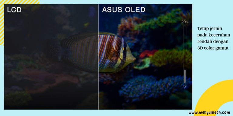 ASUS OLED tetap jernih pada kecerahan yang rendah