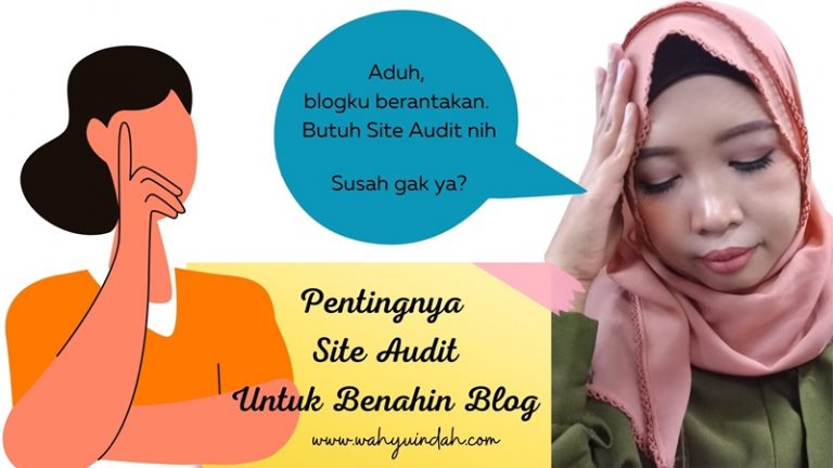 pentingnya site audit