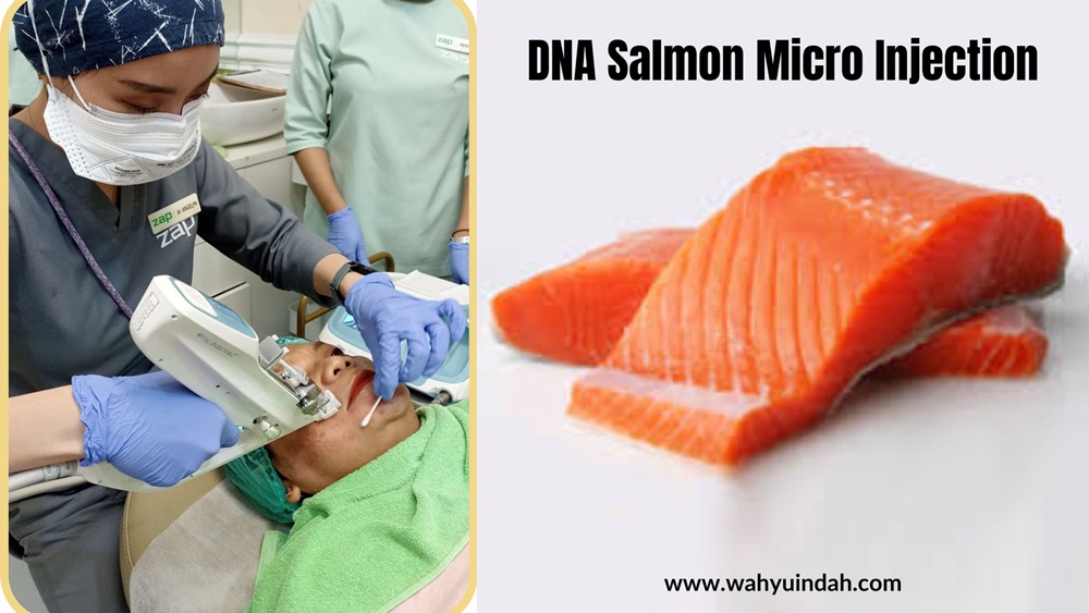 DNA Salmon micro injection