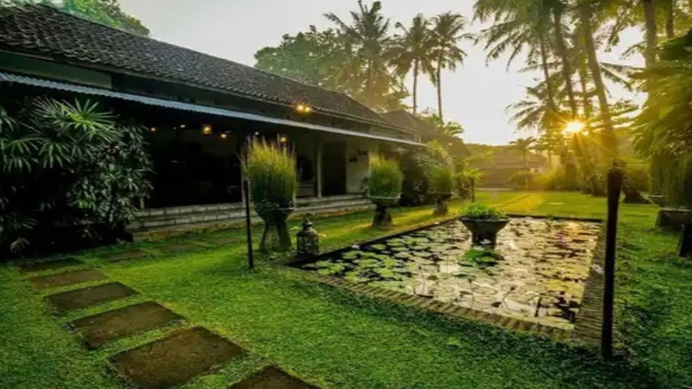 D omah hotel Jogja