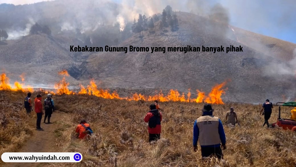 kebakaran Gunung Bromo