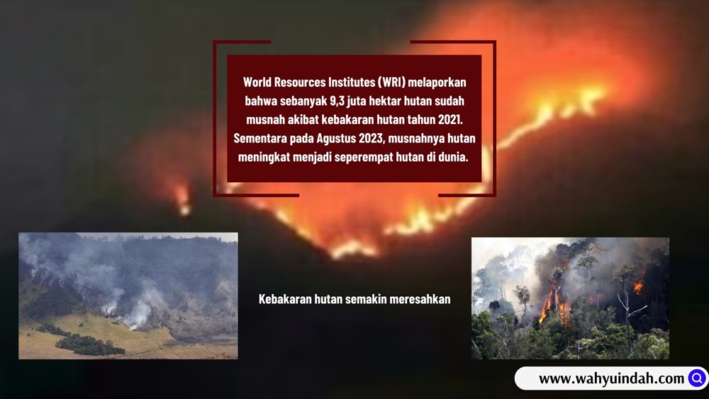 kebakaran hutan dan lahan