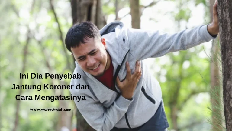 penyebab jantung koroner