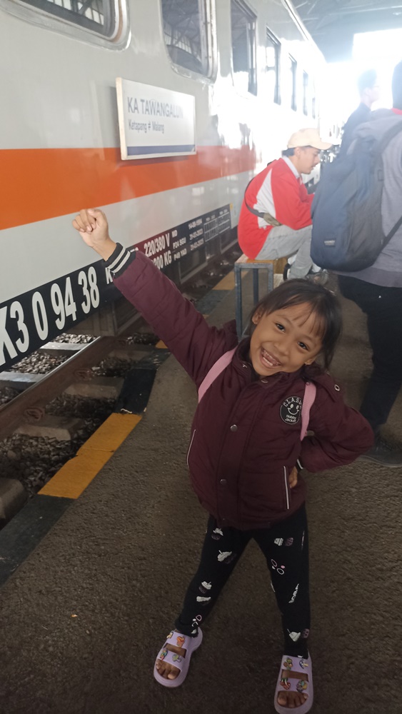 naik kereta api