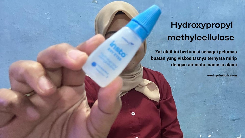 kandungan insto